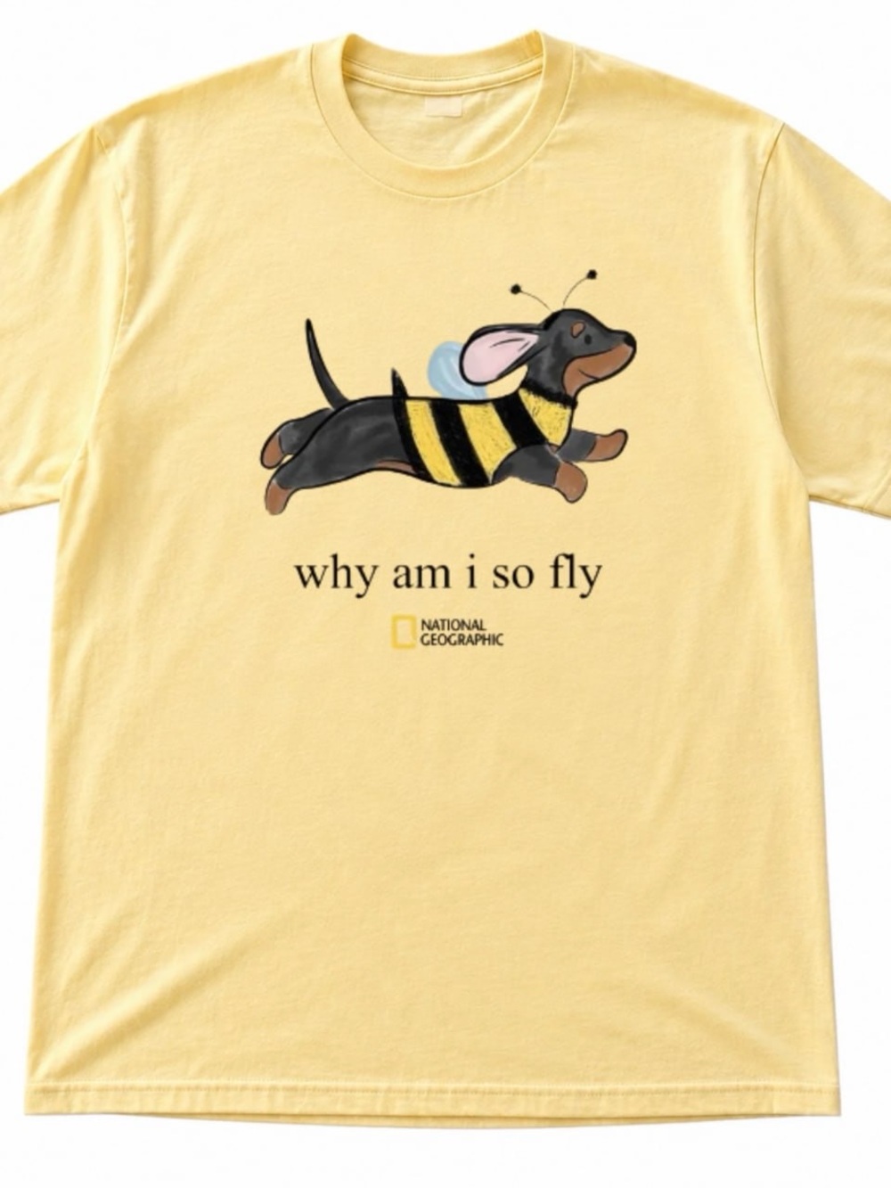 Gildan Yellow Graphic Tee with Dachshund Bee